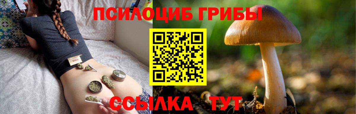 где купить   Вход с VPN  Туапсе  Галлюциногенные грибы Psilocybine cubensis 